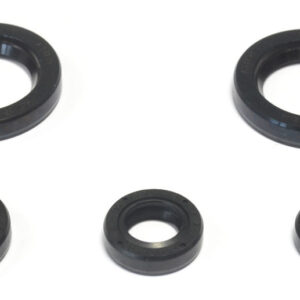 ATHENA KOMPLET (ZESTAW) USZCZELNIACZY SILNIKOWYCH KTM DUKE 125 '11-16, DUKE 200 '12-16, RC 200 '15-16